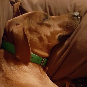 Meet your Posher, Jaclyn